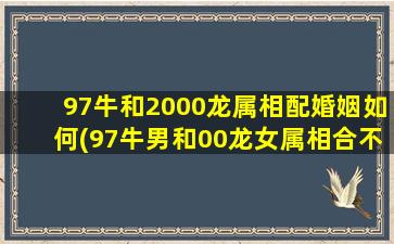 97牛和2000龙属相配婚姻如何(97牛男和00龙女属相合不合)