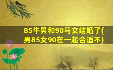 85牛男和90马女结婚了(男85女90在一起合适不)