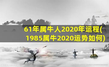 61年属牛人2020年运程(1985属牛2020运势如何)