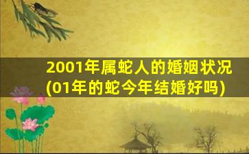 2001年属蛇人的婚姻状况