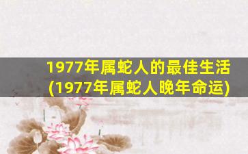 1977年属蛇人的最佳生活