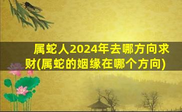 属蛇人2024年去哪方向求