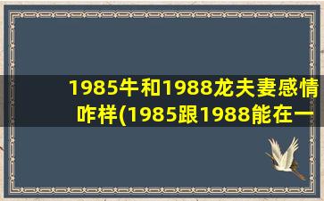 1985牛和1988龙夫妻感情咋样(1985跟1988能在一起吗)