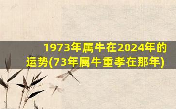 1973年属牛在2024年的运势(73年属牛重孝在那年)