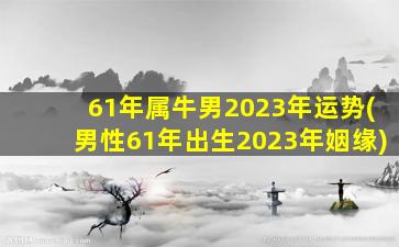 61年属牛男2023年运势(男性61年出生2023年姻缘)