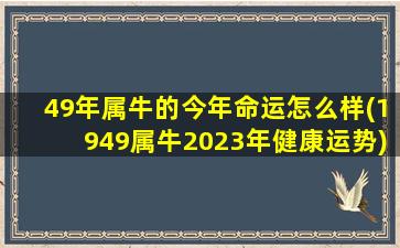 49年属牛的今年命运怎么样(1949属牛2023年健康运势)