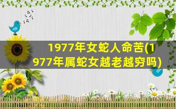 <strong>1977年女蛇人命苦(1977年属</strong>