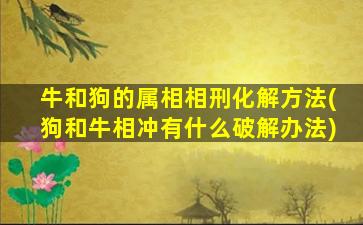 牛和狗的属相相刑化解方法(狗和牛相冲有什么破解办法)