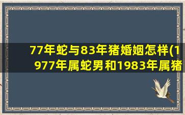 77年蛇与83年猪婚姻怎样