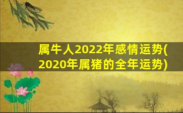 属牛人2022年感情运势(2020年属猪的全年运势)