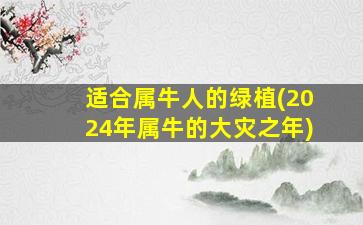 适合属牛人的绿植(2024年属牛的大灾之年)