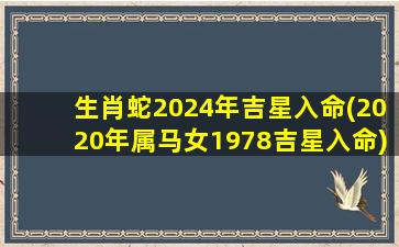 生肖蛇2024年吉星入命(