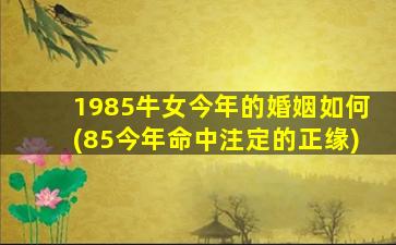 1985牛女今年的婚姻如何(85今年命中注定的正缘)