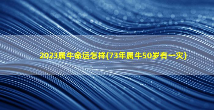 2023属牛命运怎样(73年属