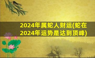 2024年属蛇人财运(蛇在20