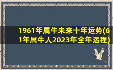 1961年属牛未来十年运势