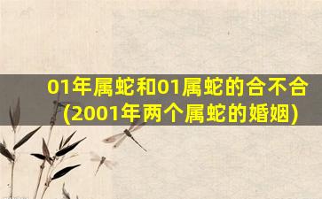 01年属蛇和01属蛇的合不合(2001年两个属蛇的婚姻)