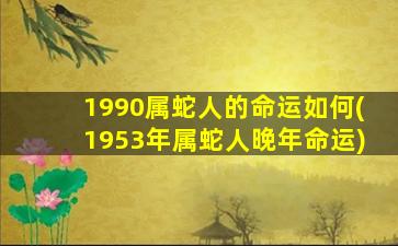 1990属蛇人的命运如何(1953年属蛇人晚年命运)