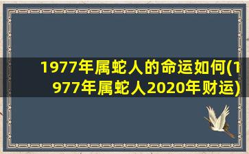 1977年属蛇人的命运如何