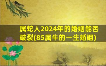 属蛇人2024年的婚姻能否