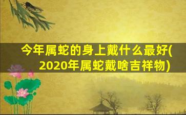 今年属蛇的身上戴什么最好(2020年属蛇戴啥吉祥物)