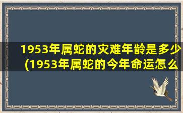 1953年属蛇的灾难年龄是多少(1953年属蛇的今年命运怎么样)