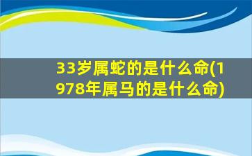 33岁属蛇的是什么命(1978年属马的是什么命)