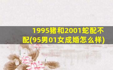 1995猪和2001蛇配不配(95男01女成婚怎么样)