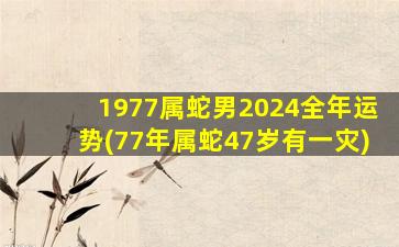 1977属蛇男2024全年运势(77年属蛇47岁有一灾)