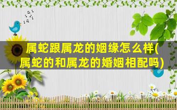 属蛇跟属龙的姻缘怎么样