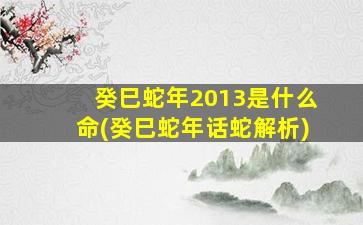 癸巳蛇年2013是什么命(癸