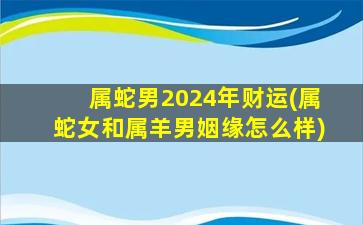 属蛇男2024年财运(属蛇女和属羊男姻缘怎么样)