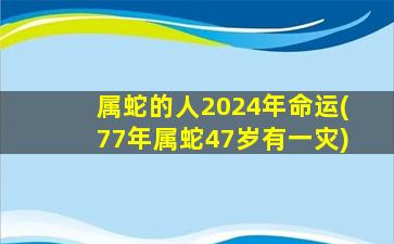 属蛇的人2024年命运(77年