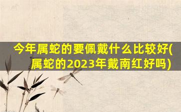 今年属蛇的要佩戴什么比较好(属蛇的2023年戴南红好吗)