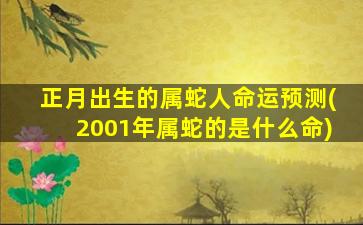 正月出生的属蛇人命运预测(2001年属蛇的是什么命)