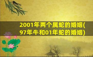 2001年两个属蛇的婚姻(