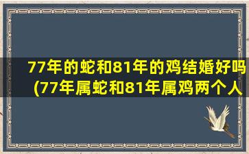 77年的蛇和81年的鸡结婚好吗(77年属蛇和81年属鸡两个人合不合)