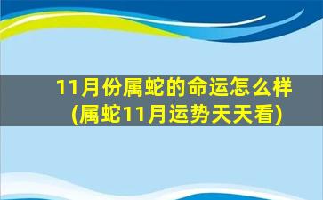 11月份属蛇的命运怎么样