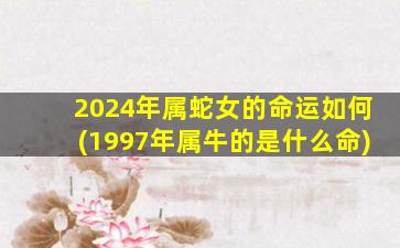 2024年属蛇女的命运如何