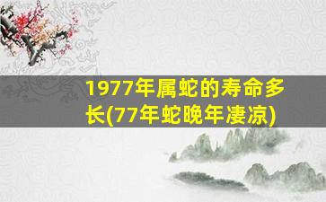 1977年属蛇的寿命多长(