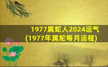 1977属蛇人2024运气(1977年属蛇每月运程)