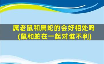 属老鼠和属蛇的会好相处吗(鼠和蛇在一起对谁不利)