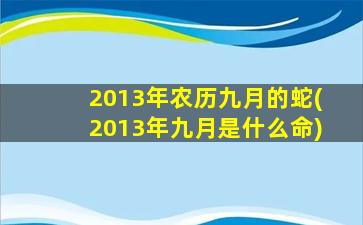 2013年农历九月的蛇(2013年九月是什么命)