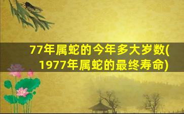 77年属蛇的今年多大岁数(1977年属蛇的最终寿命)