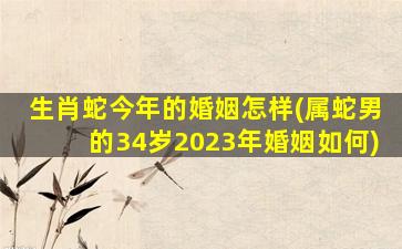 生肖蛇今年的婚姻怎样(属蛇男的34岁2023年婚姻如何)