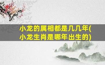 小龙的属相都是几几年(小