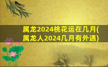 属龙2024桃花运在几月(属