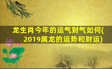 龙生肖今年的运气财气如