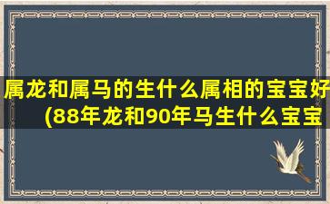 属龙和属马的生什么属相的宝宝好(88年龙和90年马生什么宝宝)