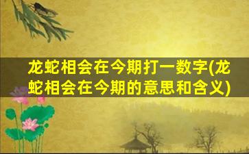 龙蛇相会在今期打一数字